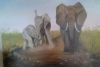 "Playing Elephants "