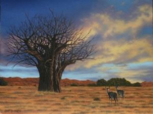 "Baobab Sunset"