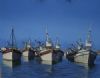 "Lamberts bay"