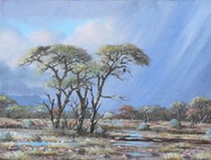 "Bushveld"