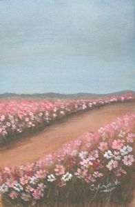 "Highveld Cosmos"