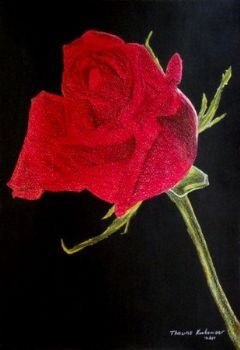 "Red Rose 2"