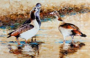 "Egyptian Geese"