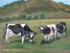 "Cattle Grazing in the Field"