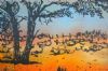 "Dune Kalahari landscape"