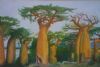 "Baobab Trees"