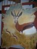 "springbok on alert"