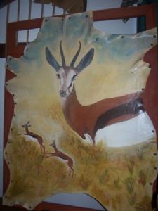 "springbok on alert"