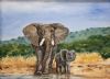 "Elephants - big 5 (Lorna Manthe)"