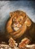 "Majestic Lion - big 5"
