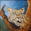 "Lazy Leopard - Big 5"