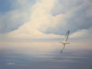 "Albatross Sky"