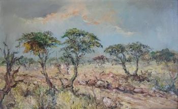 "Bushveld Namibia"