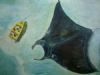 "Mantaray"