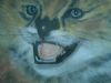 "lynx"