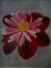 "Dahlia"