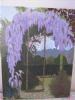 "Wisteria"