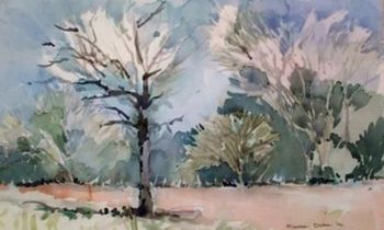 "Dusky Park"