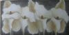 "Four Arums"