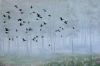 "Wild Geese"