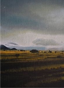 "Namibia after rain I"
