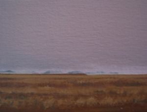"Namibia after rain III"