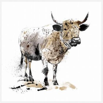 "Nguni Cow"