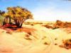 "Road to Nowhere, Namibia"