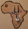 "Out Of Africa Edition - Bushbuck"