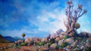 "Quiver Trees - Northern Cape"