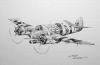 "RNZAF Bristol Beaufighter"