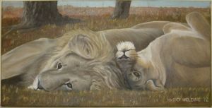 "Botswana Lions"
