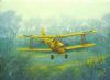 "DeHavilland D.H.82A Tiger Moth - Staying Low"