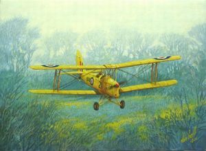 "DeHavilland D.H.82A Tiger Moth - Staying Low"