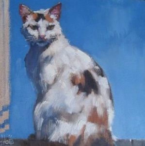 "Calico Cat"