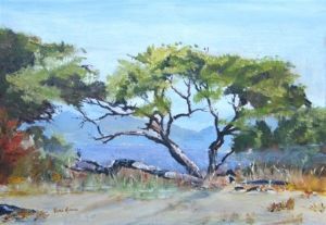 "Umfolosi "