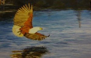 "Fish Eagle"