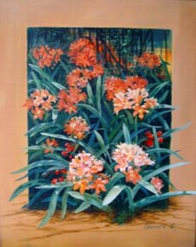 "Clivia"