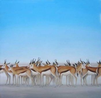 "Springbok"