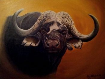 "Buffalo"