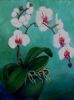 "White Orchids - Turquoise Series"