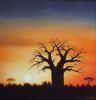 "Baobab Silhouette"