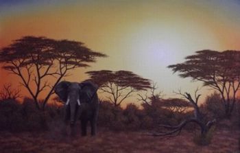 "Elephant Sunset"