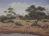 "Giraffe at Waterhole"
