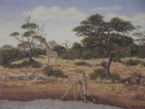 "Giraffe at Waterhole"