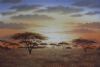 "Umbrella Tree Sunset 01"