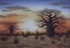 "Baobab Sunset"
