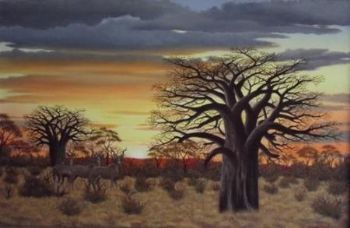 "Baobab and Kudu Sunset"