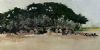 "A Row of Trees"