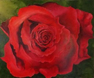 "Red Rose"